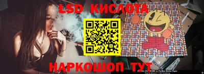 прущие грибы Ноябрьск