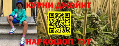 прущие грибы Ноябрьск