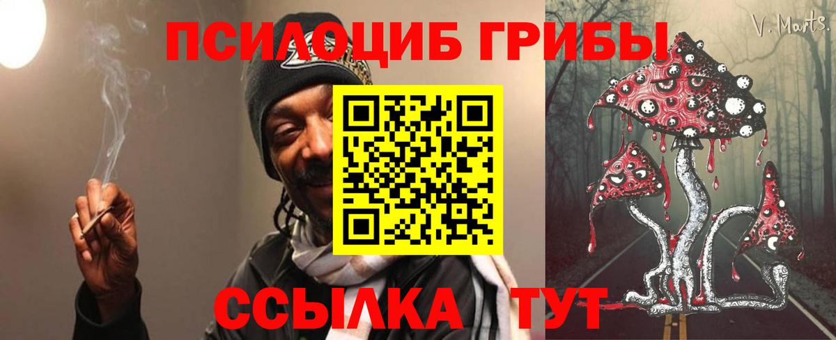 Галлюциногенные грибы Psilocybe Брянск